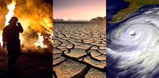 GET THE BASICS RIGHT! ENVIRONMENT & CLIMATE CHANGE